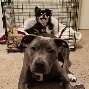 Meet your Posher, Jacob